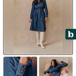 Sezane Gwen Denim Dress
